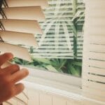 Dłoń regulująca żaluzje przy oknie z zielenią za szybą